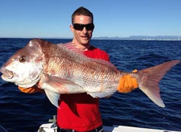 Target reef species like Snapper